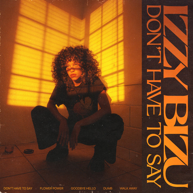 Izzy Bizu Don't Have to Say cover artwork