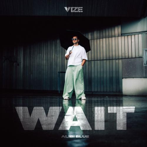 VIZE Wait (Alibi Blue) cover artwork