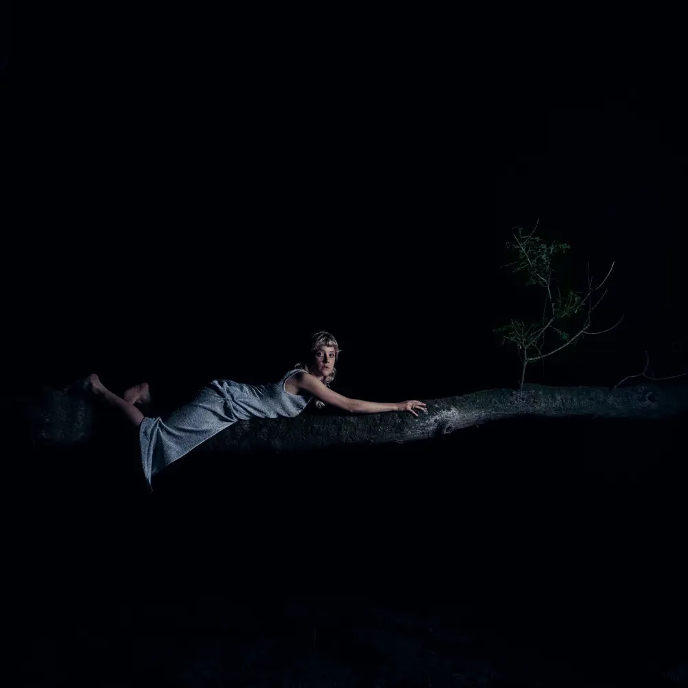 Pem to earth will you tell me when we land cover artwork