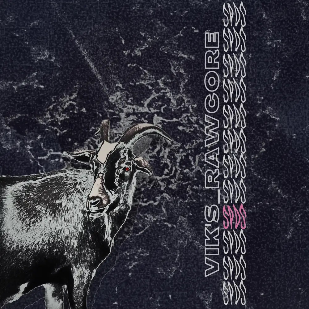Smag På Dig Selv featuring Viktoria Søndergaard — Vik's Rawcore cover artwork
