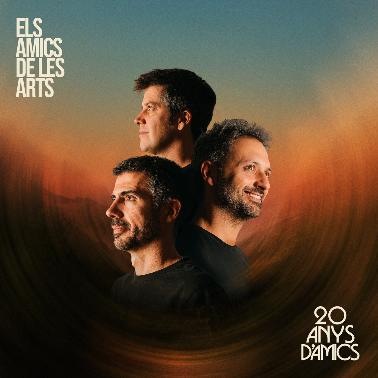 Els Amics de les Arts 20 anys d'Amics cover artwork