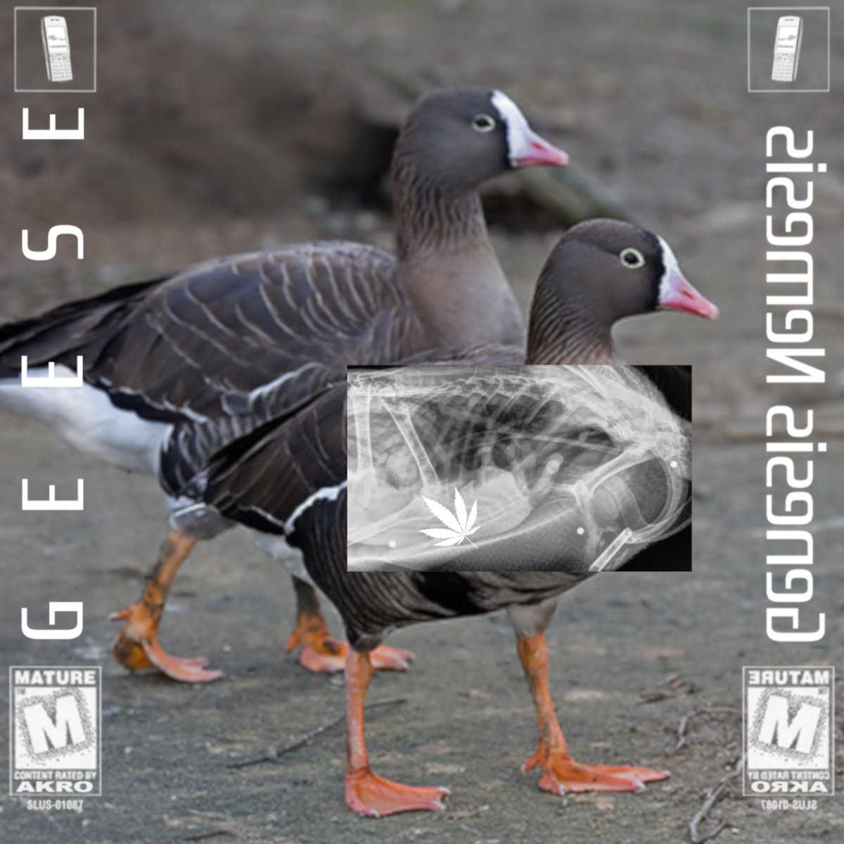 GEESE — Clean Shit cover artwork