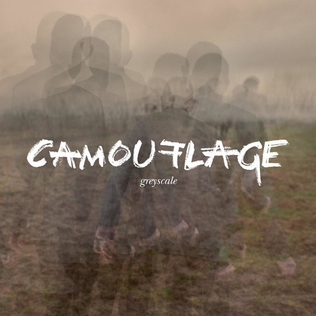 CAMOUFLAGE Greyscale cover artwork