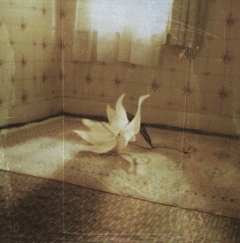 Keo Siren cover artwork