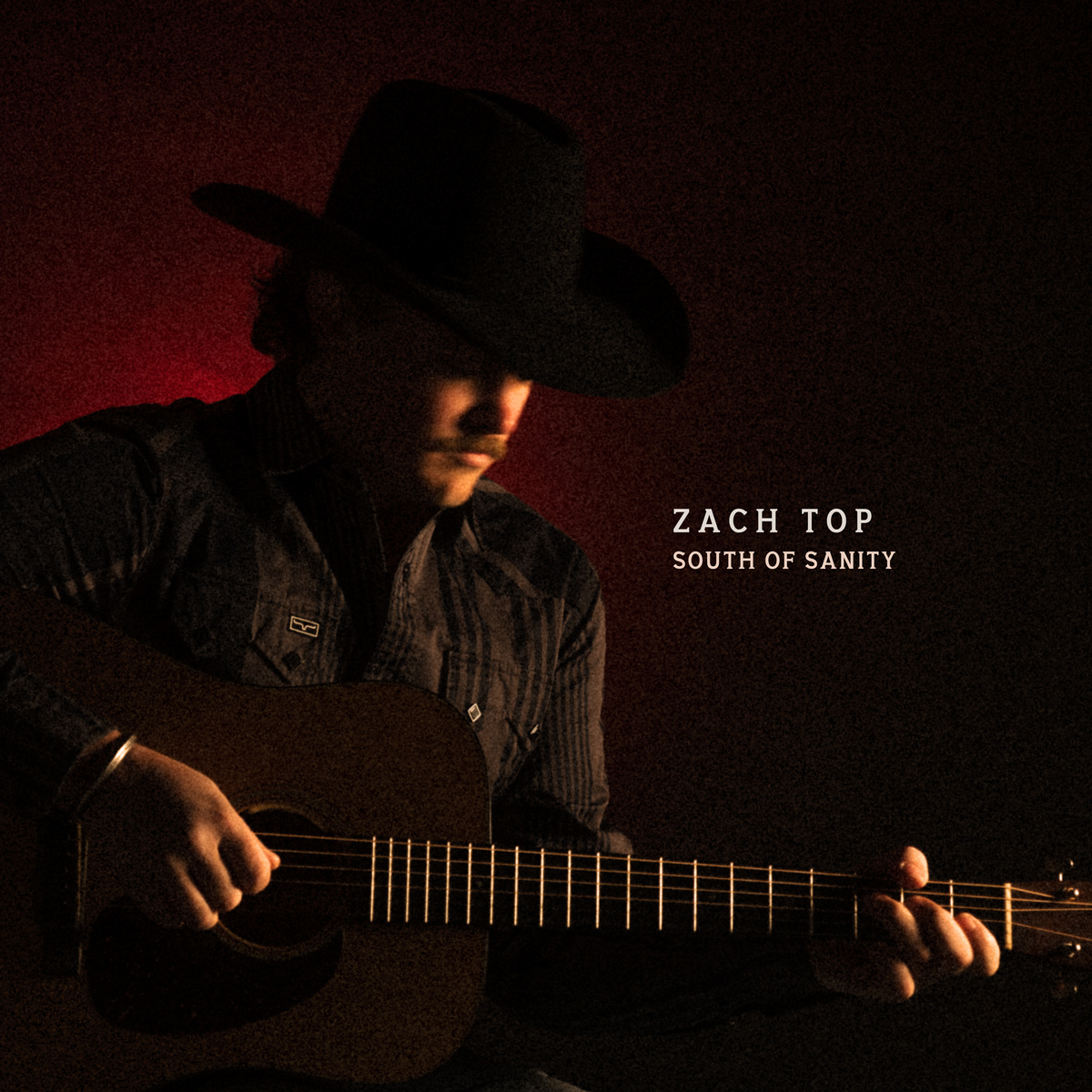 Zach Top — South of Sanity cover artwork
