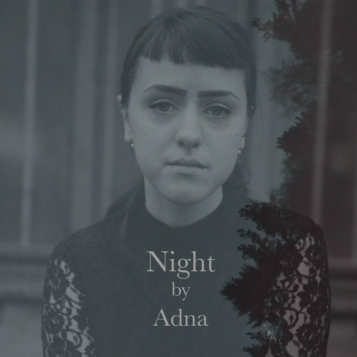Adna Night cover artwork