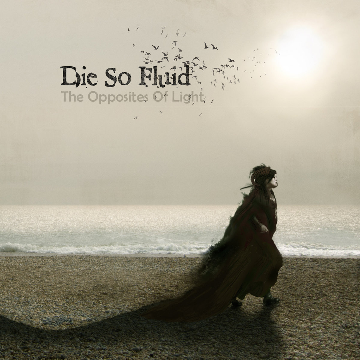 Die So Fluid The Opposites Of Light cover artwork