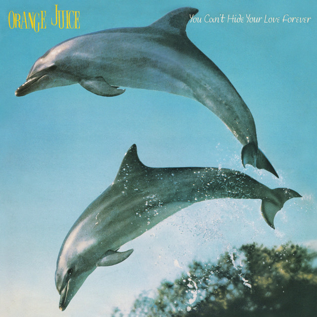 Orange Juice You Can't Hide Your Love Forever cover artwork