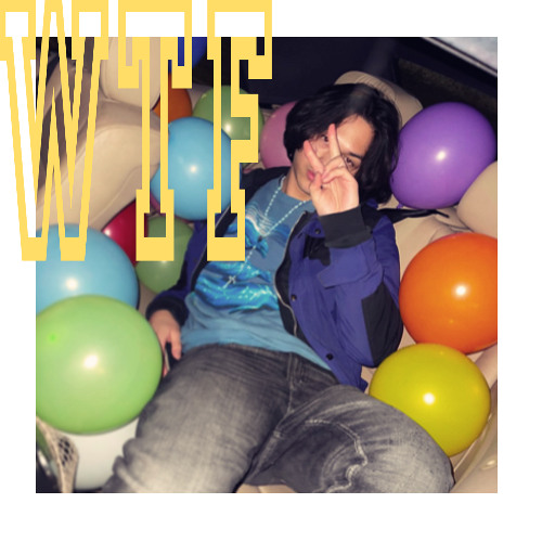 Feng What The Feng cover artwork