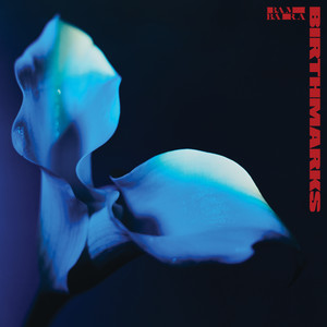 Bambara Birthmarks cover artwork
