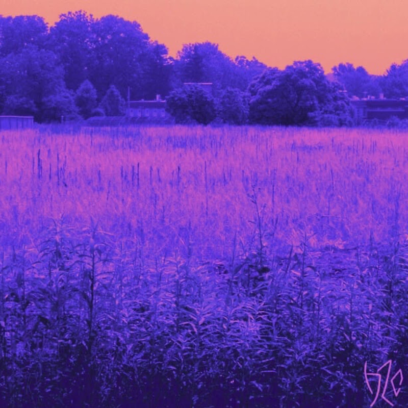 h2c & Dawn Medrek — rose gardens (Dawn Medrek Remix) cover artwork