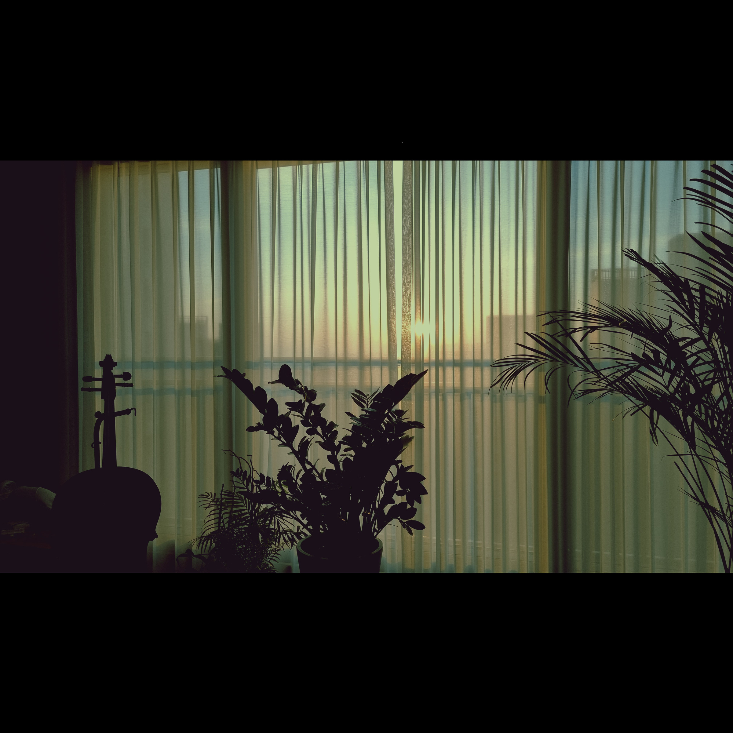 Parannoul — 연말 다짐 cover artwork