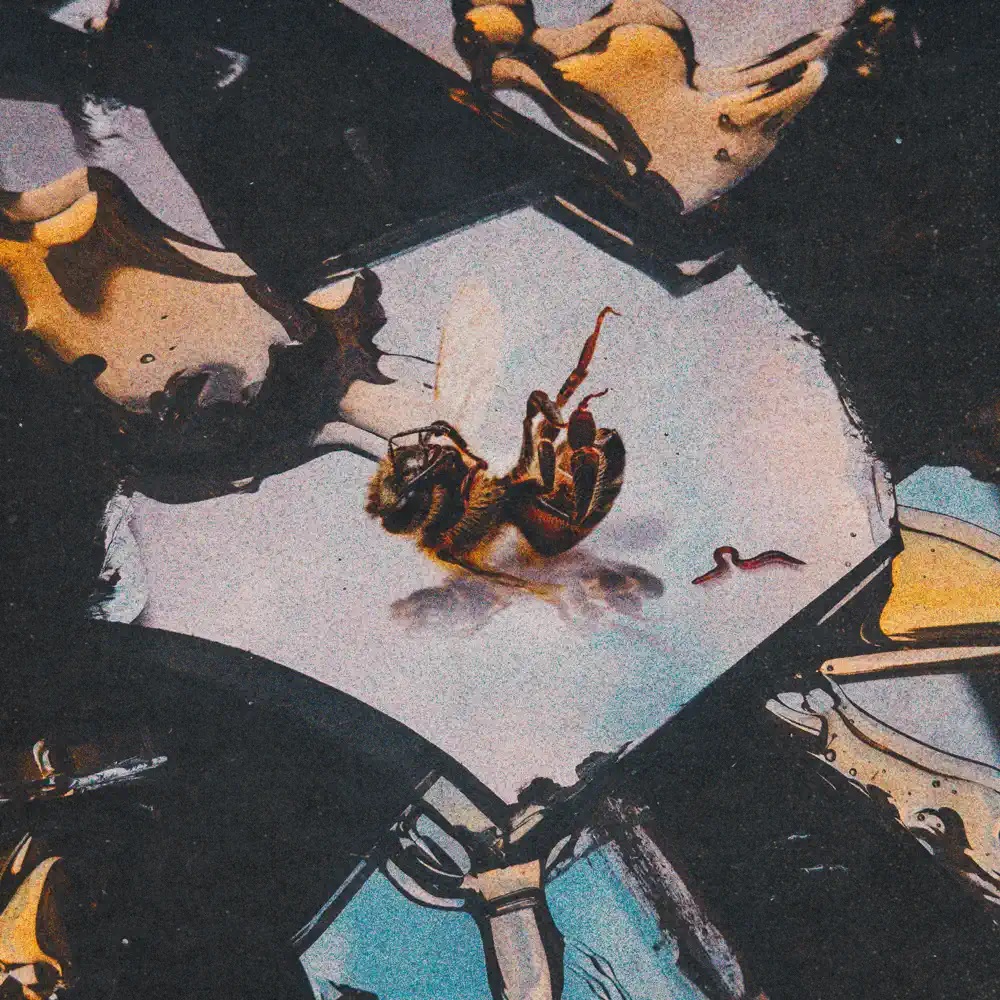 Stain the Canvas Leeches cover artwork