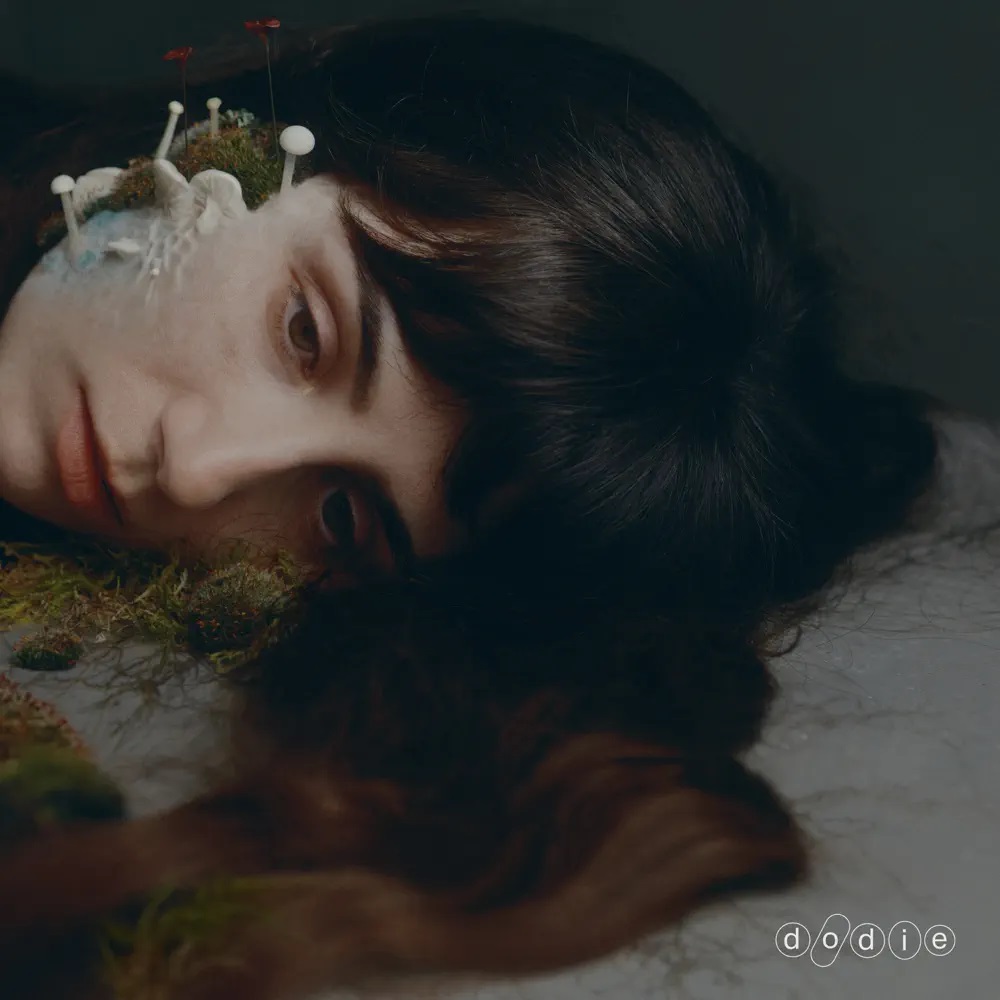 dodie Not For Lack Of Trying cover artwork