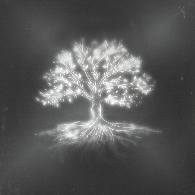 Nil Moliner NEXO 07. Tenerte cerca cover artwork