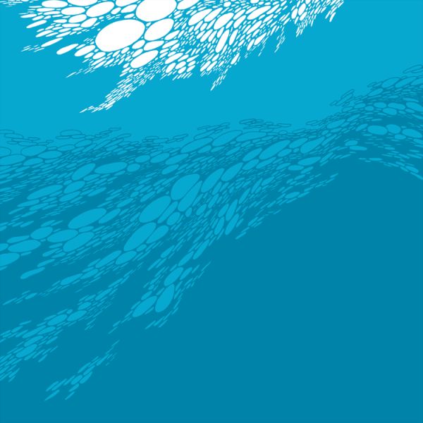 BORIS — Flood cover artwork