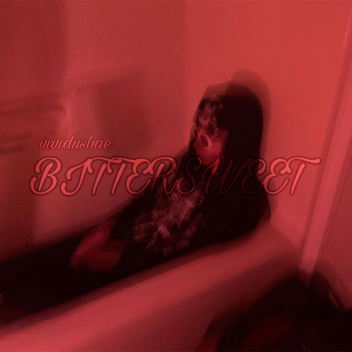 vividusbae never care (intro) cover artwork