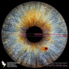 Gorgon City & Interplanetary Criminal — Contact cover artwork