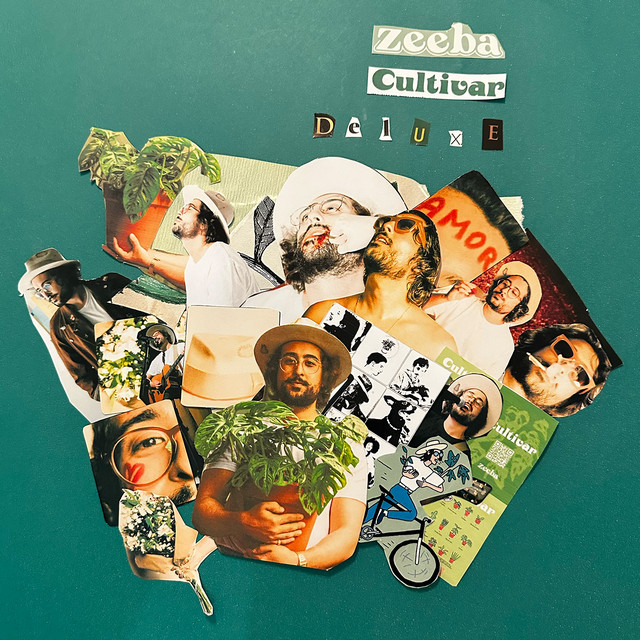 Zeeba Meus Versos cover artwork
