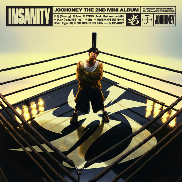 JOOHONEY 光 (INSANITY) cover artwork