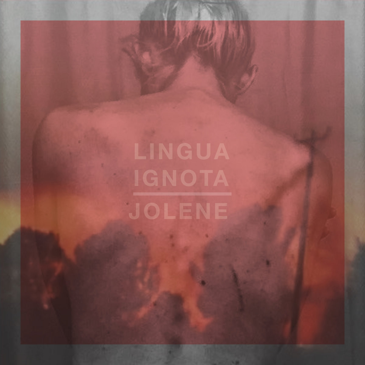 LINGUA IGNOTA — Jolene cover artwork