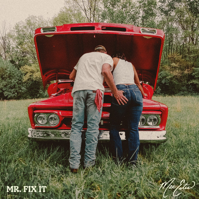 Mae Estes — Mr. Fix It cover artwork