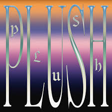 DJ Seinfeld — Plush cover artwork