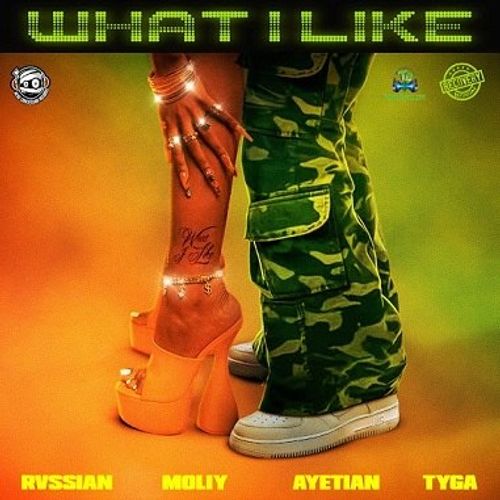 Rvssian featuring MOLIY, Ayetian, & Tyga — What I Like cover artwork