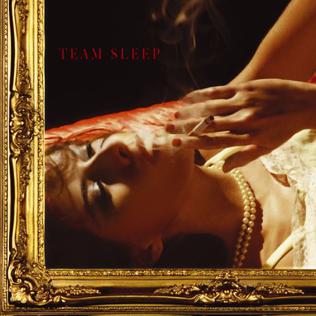 Team Sleep — Ever (Foreign Flag) cover artwork