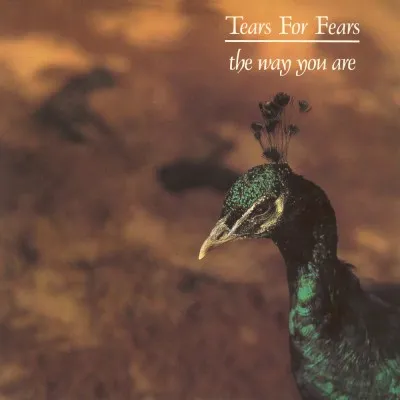 Tears For Fears — The Way You Are cover artwork