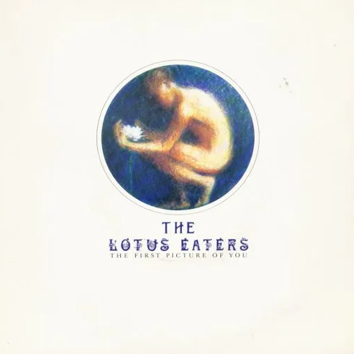 The Lotus Eaters — The First Picture of You cover artwork