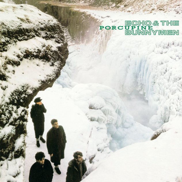 Echo &amp; The Bunnymen Porcupine cover artwork