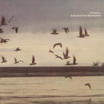 Echo &amp; The Bunnymen — A Promise cover artwork