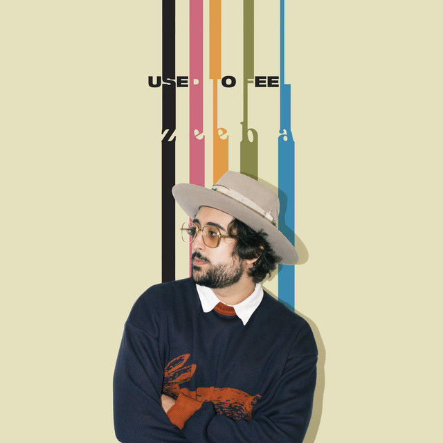 Zeeba Used to Feel cover artwork