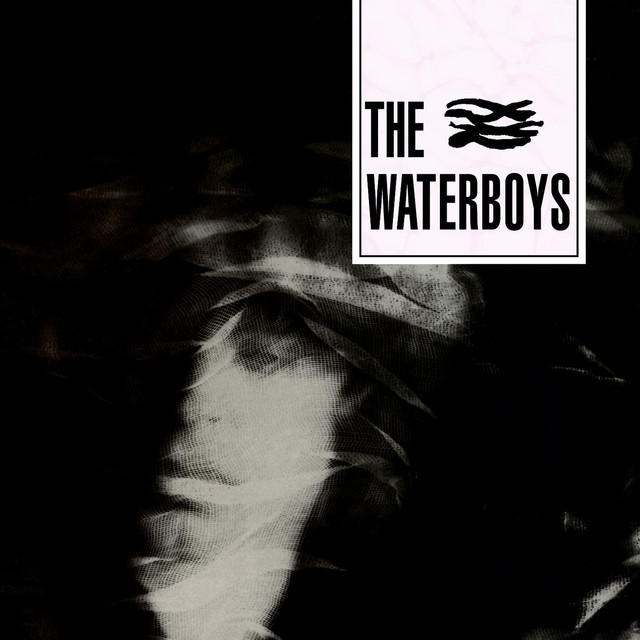 The Waterboys The Waterboys cover artwork