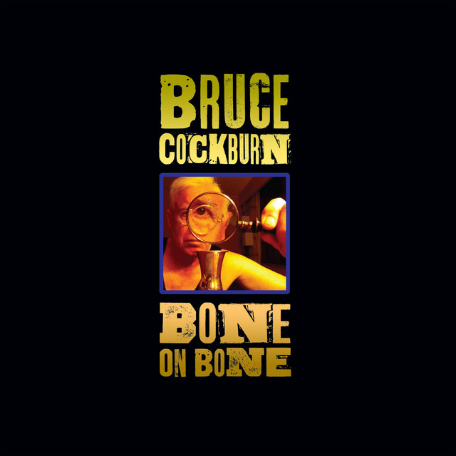 Bruce Cockburn Bone on Bone cover artwork