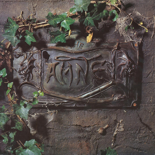 The Damned The Black Album cover artwork