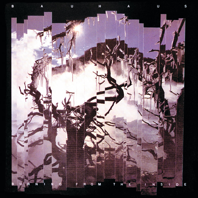 Bauhaus Burning From the Inside cover artwork