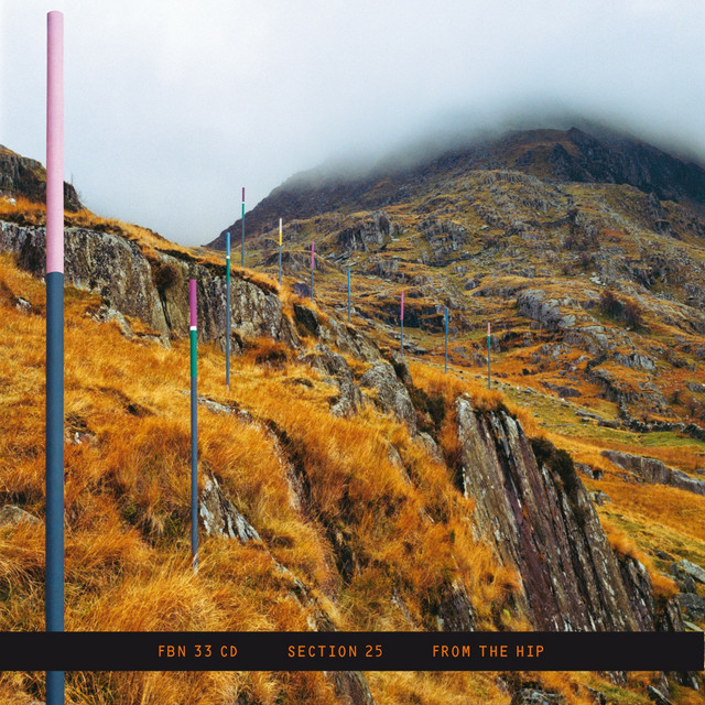 Section 25 Looking From a Hilltop cover artwork
