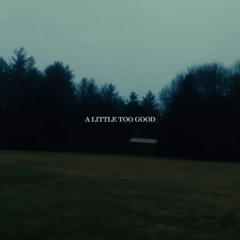 Vincent Mason — A Little Too Good cover artwork