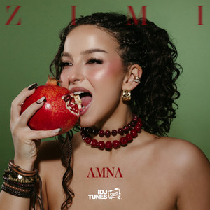 Amna (🇧🇦) Dobro Je cover artwork
