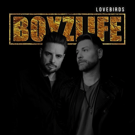 Boyzlife — Lovebirds cover artwork