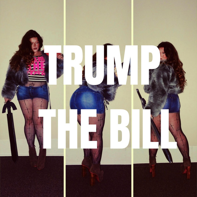 Sunshine — TRUMP THE BILL cover artwork