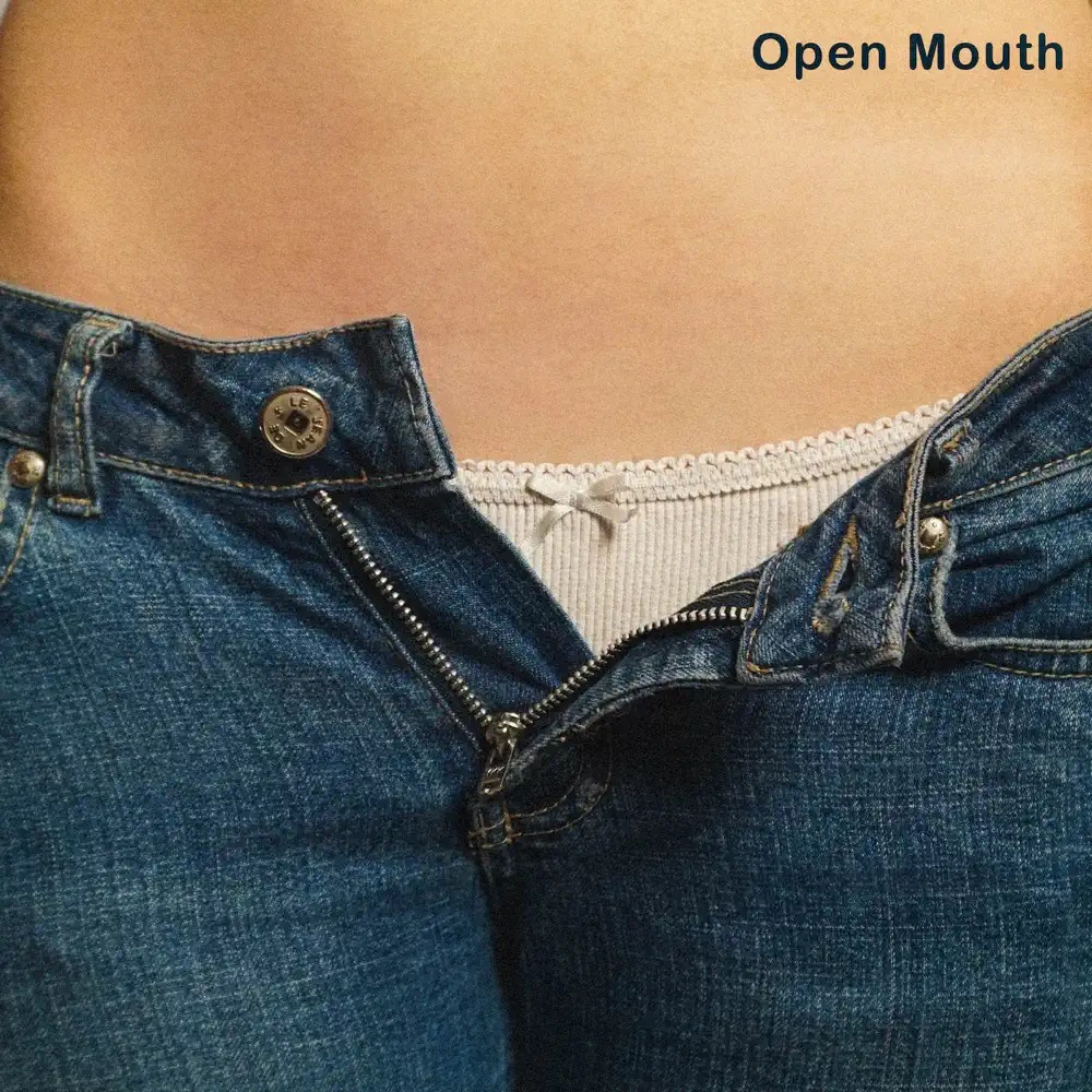 Silverdeer — Open Mouth cover artwork