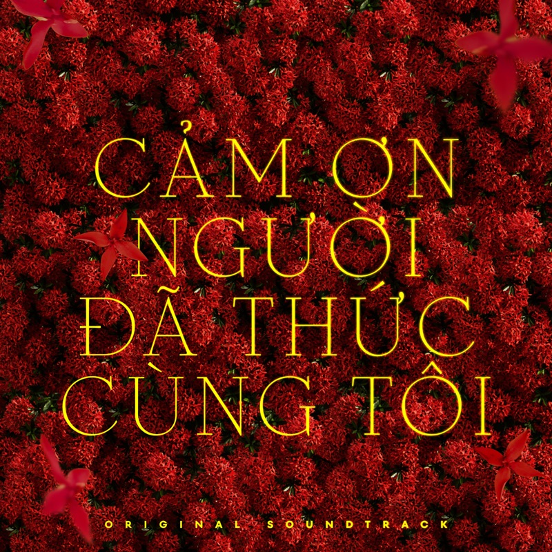 Phùng Khánh Linh — Cảm Ơn Người Đã Thức Cùng Tôi cover artwork