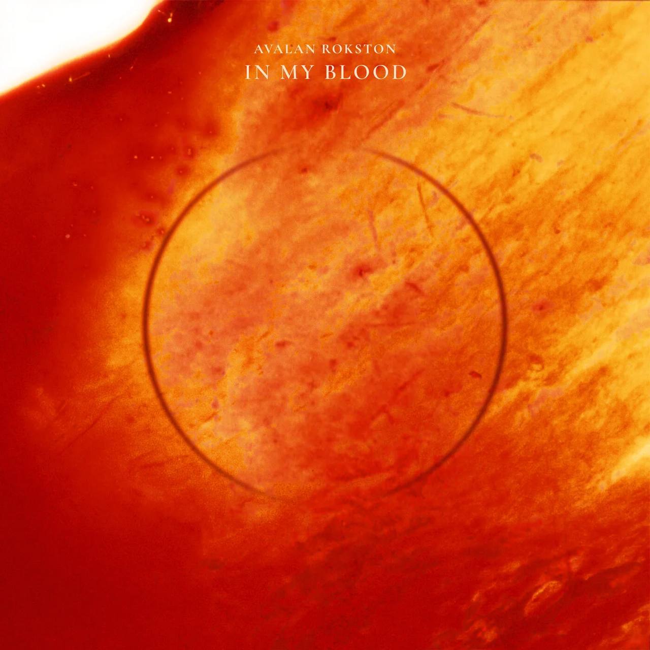 AVALAN ROKSTON — In My Blood cover artwork