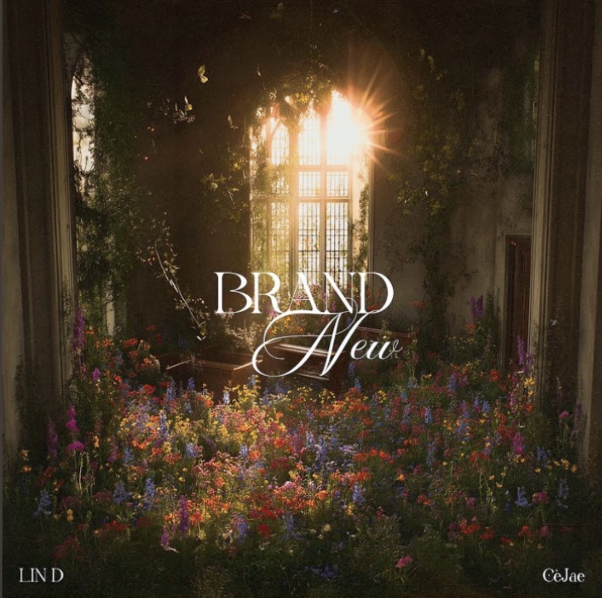 LIN D featuring Cèjae — Brand New cover artwork