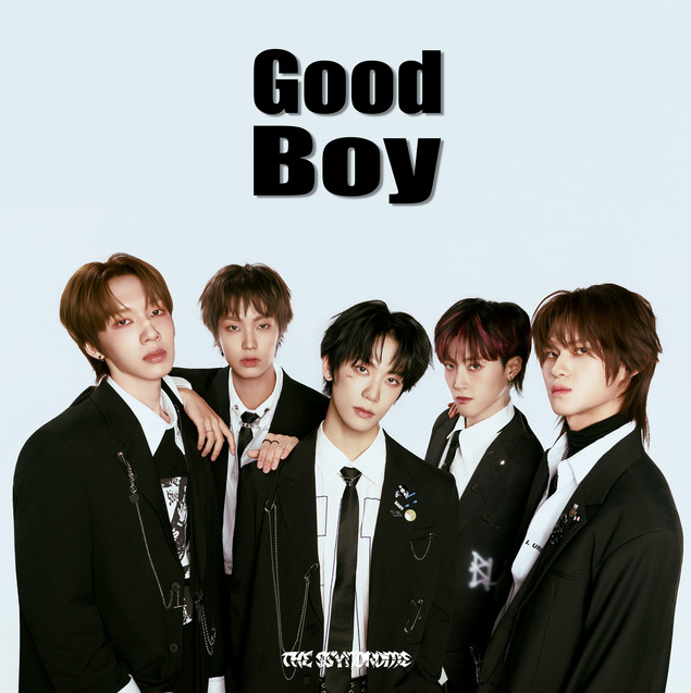 THE SSYNDROME — Good Boy cover artwork