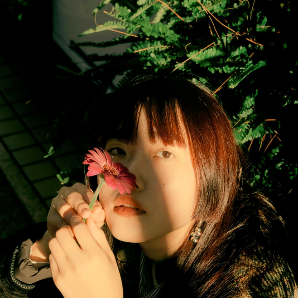 sucola — Sentimental Journey cover artwork