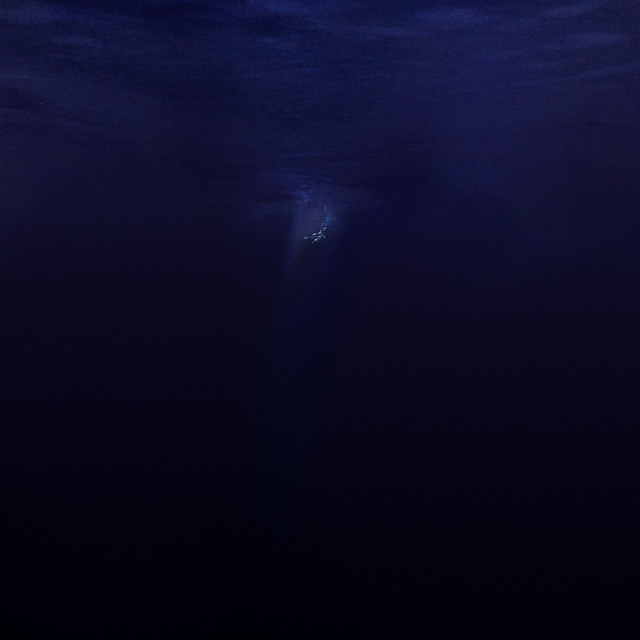 Said the Sky & Stefi Novo Oath cover artwork